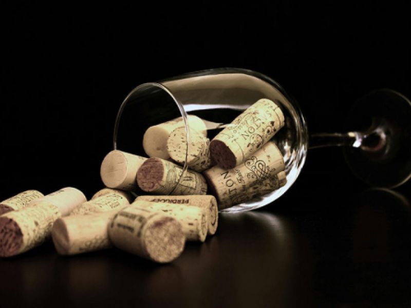 bodega seleccionada